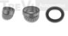 TREVI AUTOMOTIVE WB2220 Wheel Bearing Kit